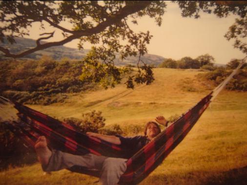 Robin in hammock at Llandovery